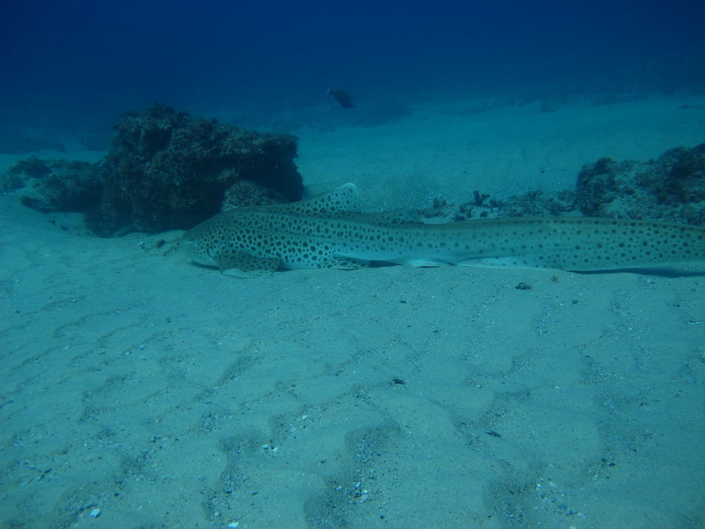 9364a0ba-800a-4611-9b69-1e9c78243cce