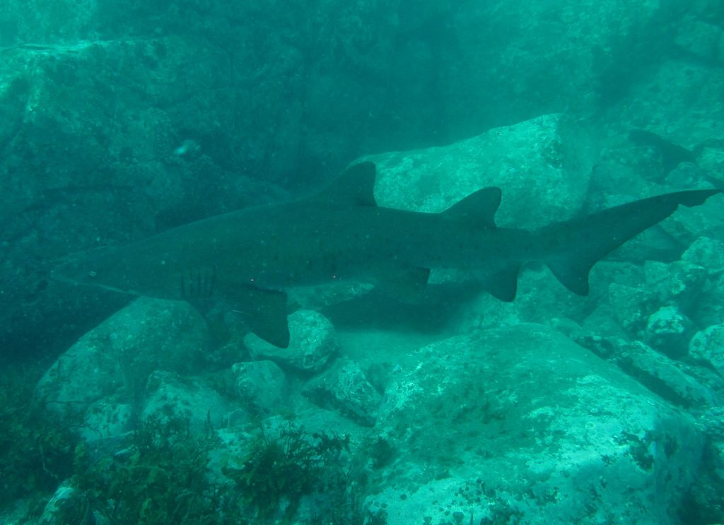 91b366ea-db18-4652-a51d-a6e5db32a668