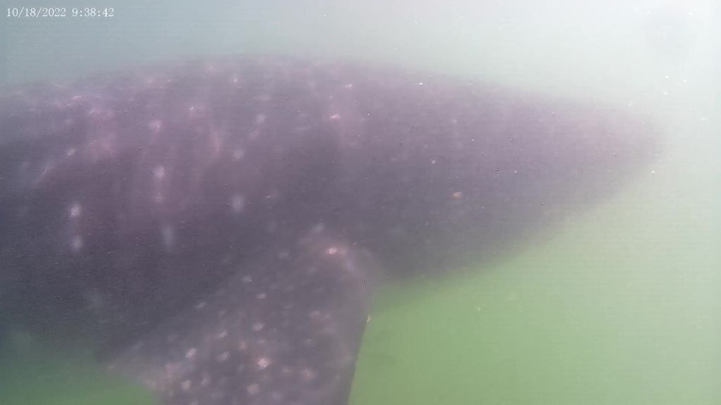 a568bf08-465f-47da-b3fa-5472b896cc78