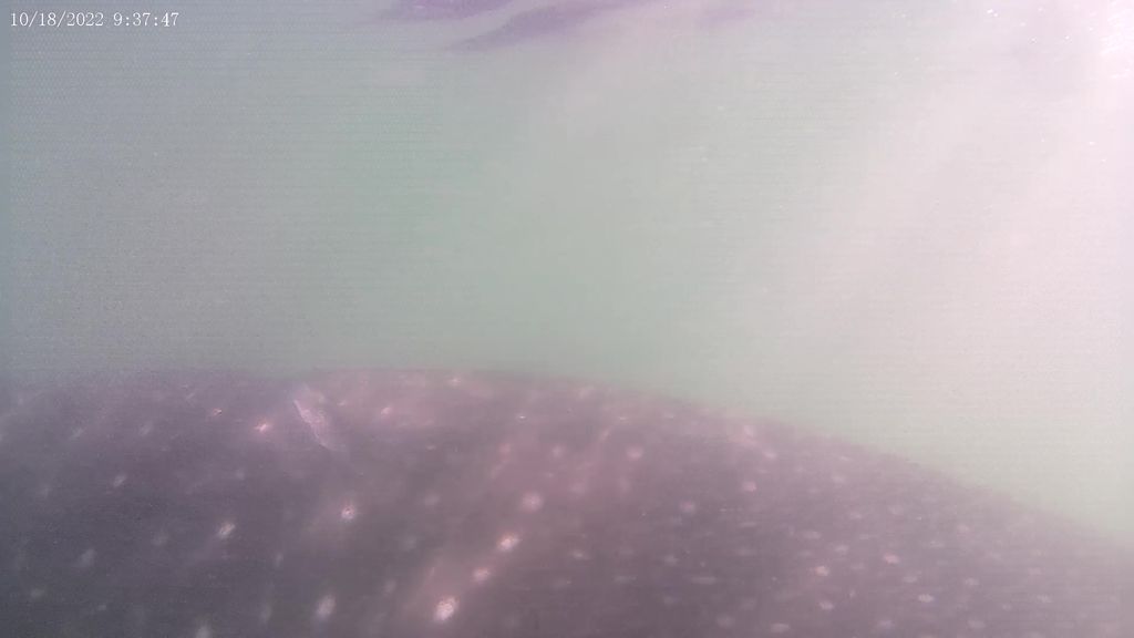 a568bf08-465f-47da-b3fa-5472b896cc78