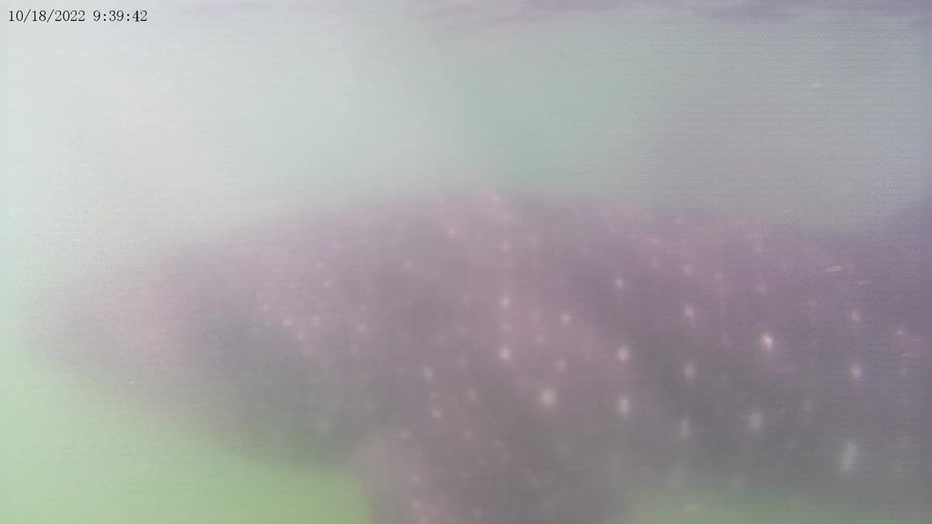 a568bf08-465f-47da-b3fa-5472b896cc78