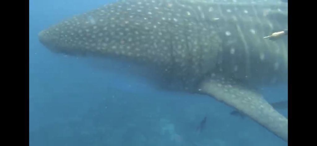 26c4fda2-1948-4a37-97bd-52d976bf41a8