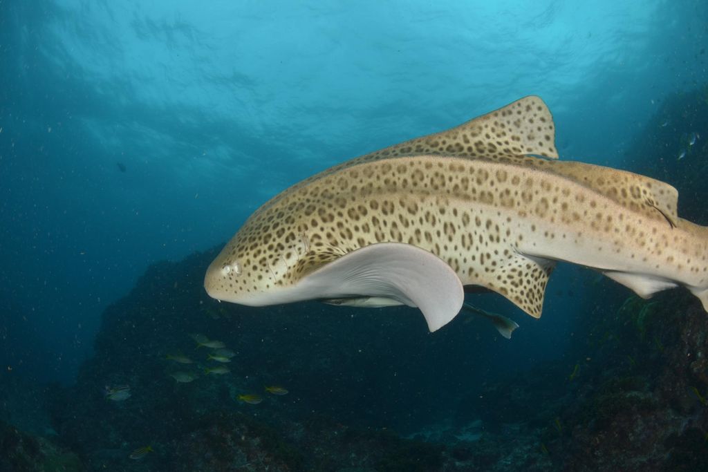 f3fe28a0-2b78-417d-8b0a-1579d7d6fe57