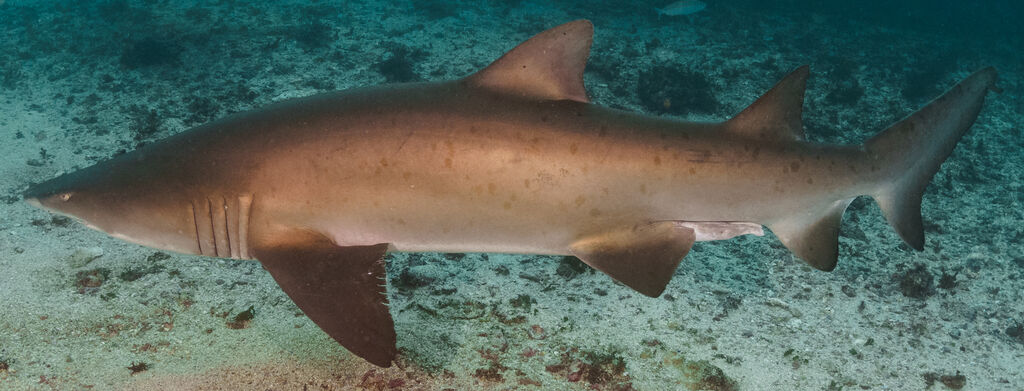 43189c9a-e0bb-4f3a-b758-621913a2224a