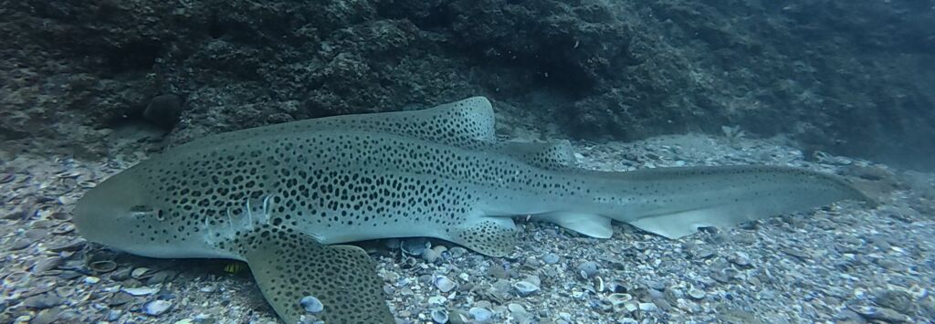 27086bbc-41e7-4b65-a3de-3438f0887c16