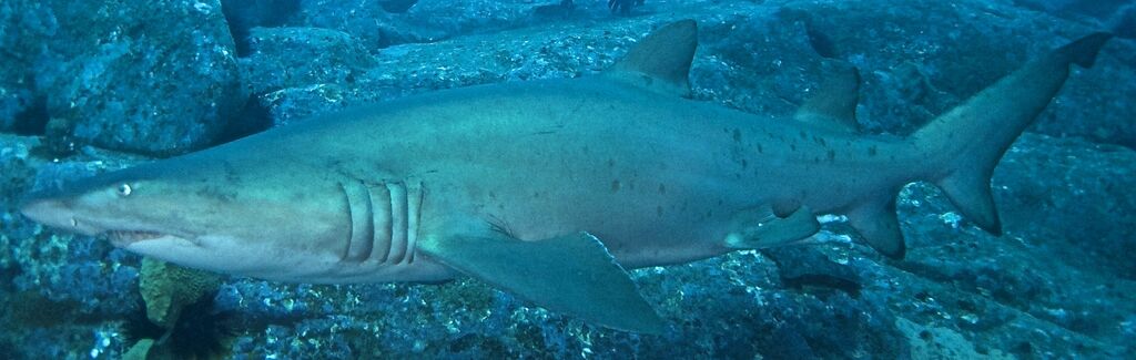 c29ba367-3b04-48b3-b2f1-cb49f0da686c