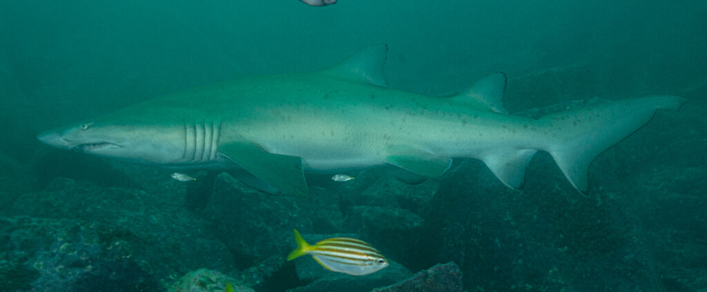 d3d97800-043a-41d2-848c-12a80f29ce0a