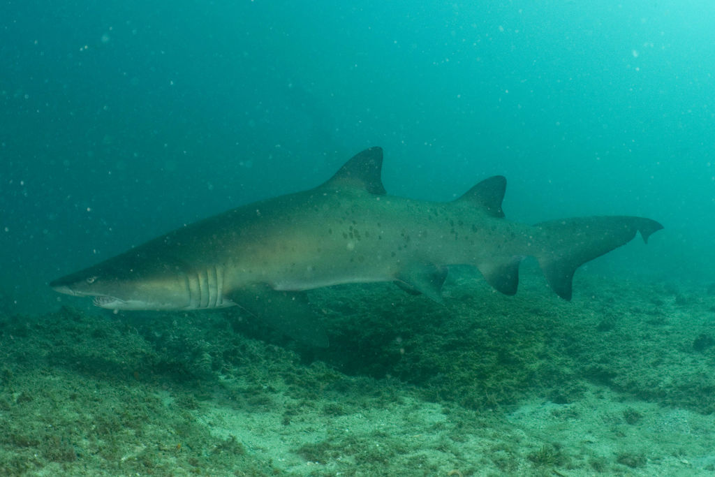 c1dcd73a-a8cd-495e-b5a2-40e0cbbc9307