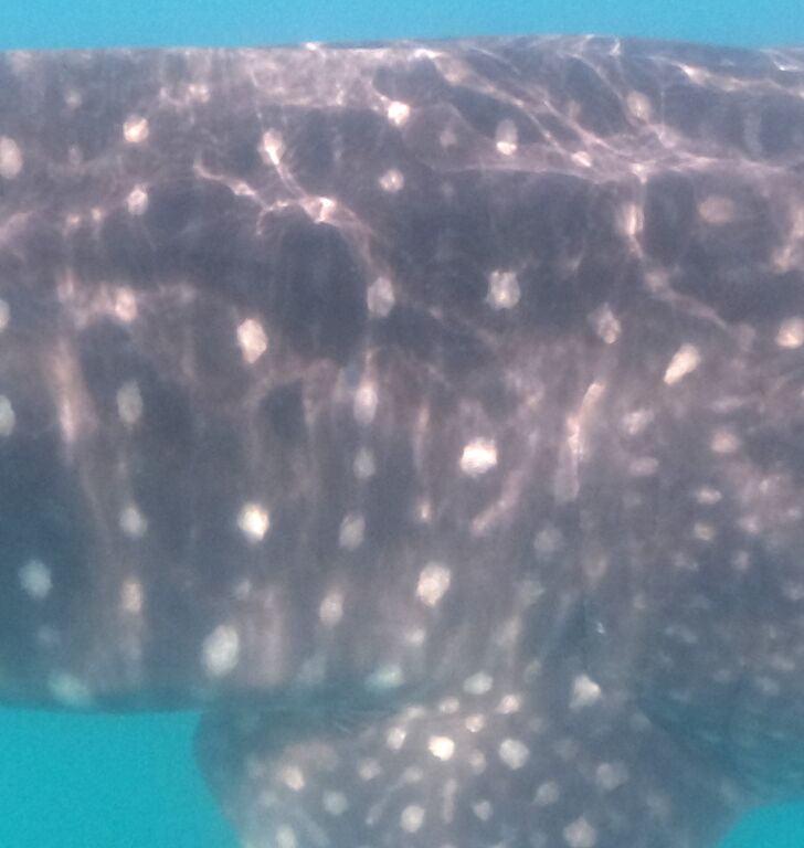 03d7b3fe-6711-4ce0-9ab8-e16e1cd75835