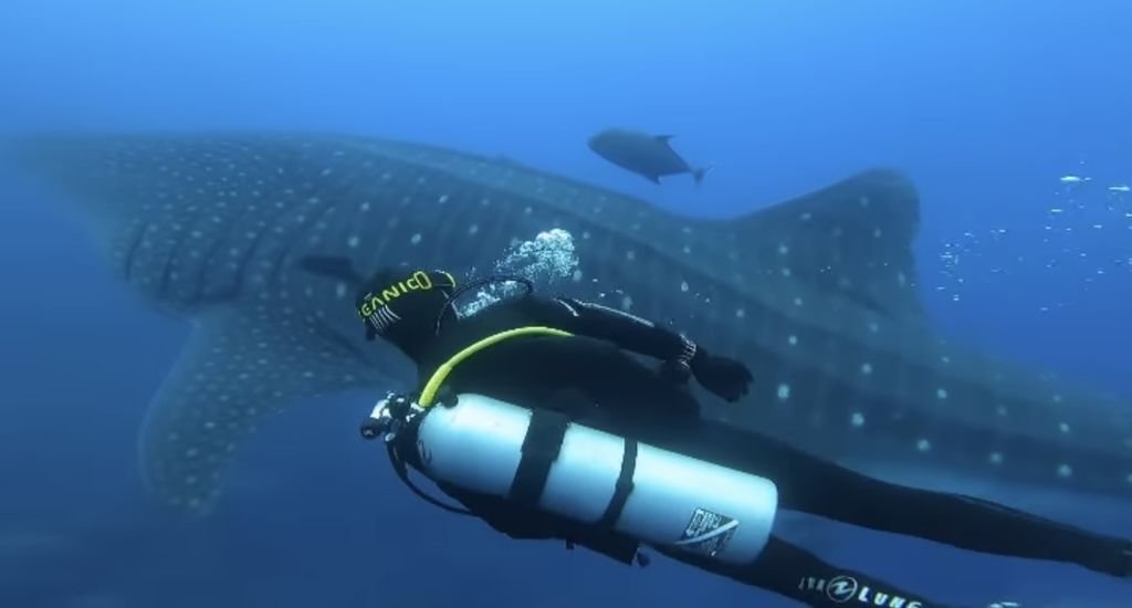 226ff8ce-4ef6-40cb-ac9b-10526d4e2e76