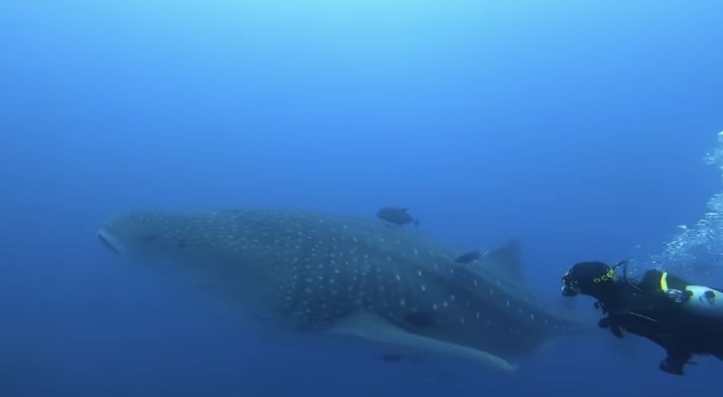 226ff8ce-4ef6-40cb-ac9b-10526d4e2e76