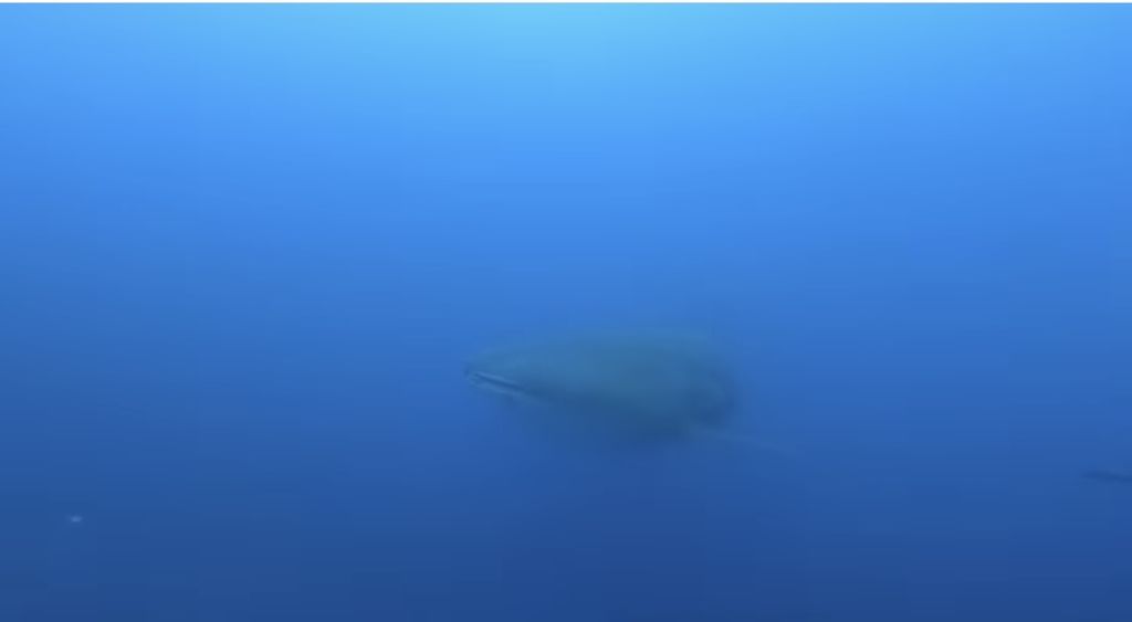 226ff8ce-4ef6-40cb-ac9b-10526d4e2e76