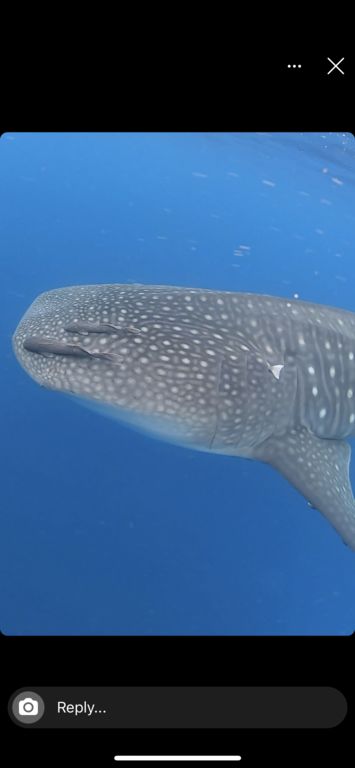 b3b81959-936d-4293-bebb-ae6b88d85747