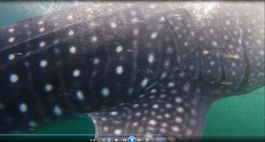 eef48583-9c7d-4ed8-8a35-4ca43e2e0c70