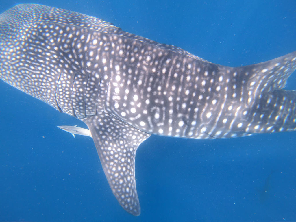 be0c8724-59c2-4630-9922-5fc4d0e01e33