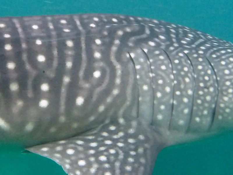 59b22537-2ce1-416f-966d-0ee453c7d9d0