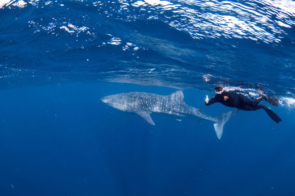 ba11638a-c3f3-4839-af5c-4b286a99f968