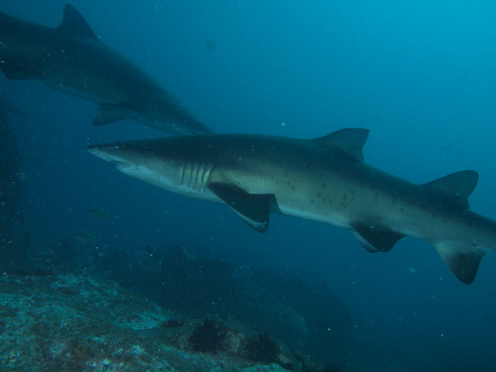 4408335d-d2b8-432f-8a8c-b6078269d914