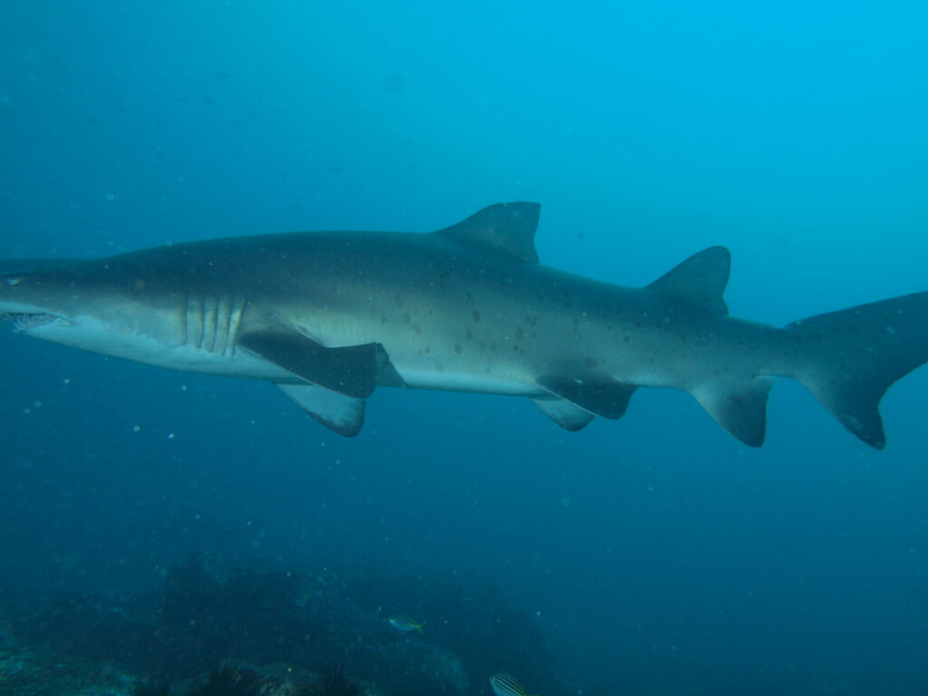 4408335d-d2b8-432f-8a8c-b6078269d914