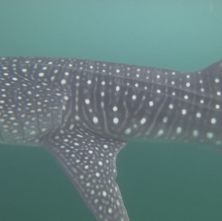 77ffe3e3-9d3e-4541-939f-5a58f8a02c47