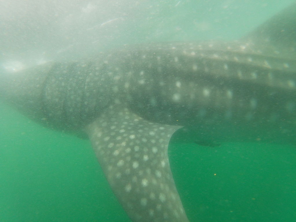 ab7dacb4-4e4c-4b41-9d15-d24e1cbbf3ef