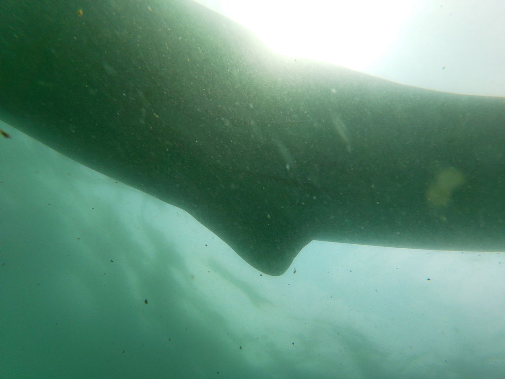 ab7dacb4-4e4c-4b41-9d15-d24e1cbbf3ef