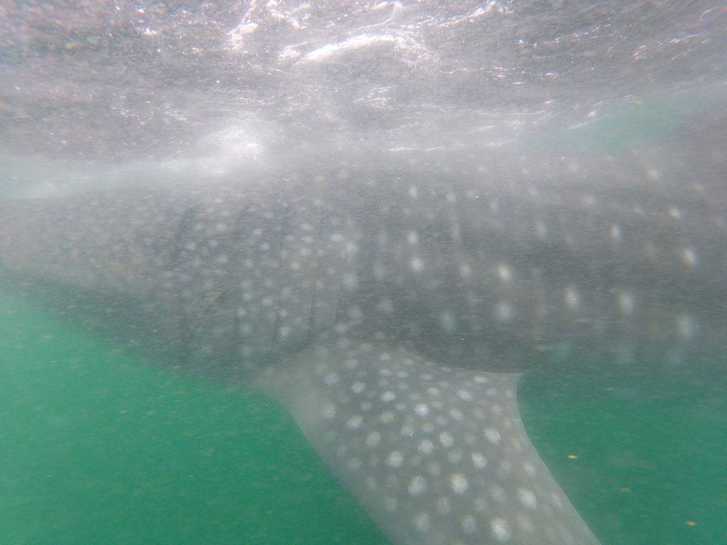 ab7dacb4-4e4c-4b41-9d15-d24e1cbbf3ef