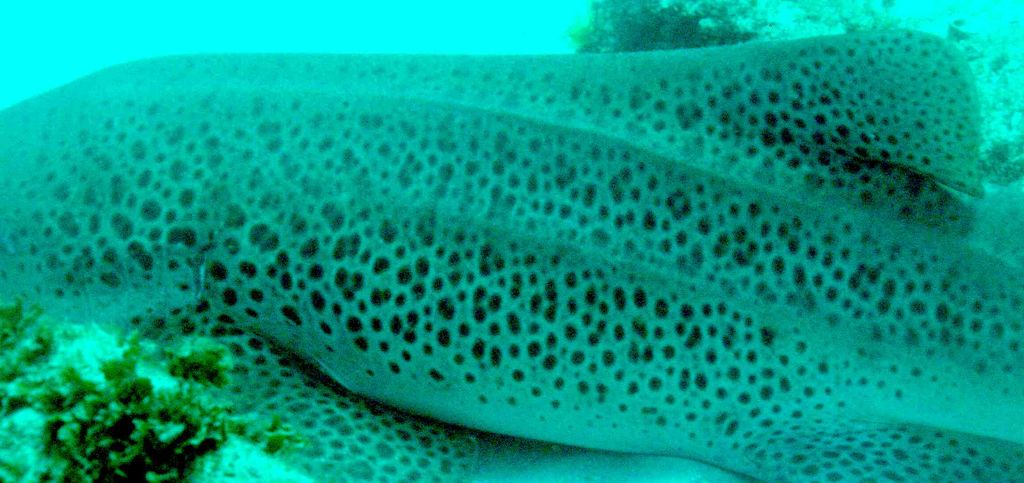 84e56780-f843-4543-99ca-85c0bd31286f