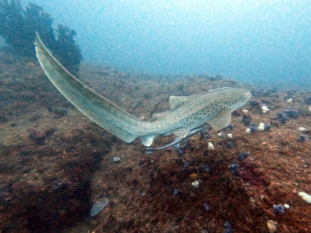 543f83c9-f2ca-4502-88e6-83c90862e6ad