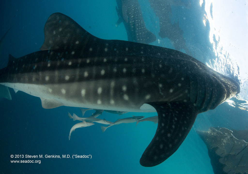 3b299980-2c30-4f09-8fcf-a02ab1b9cd20