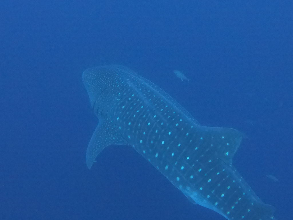 02bdf9e8-38c0-440f-a3fe-f61bca05eb08