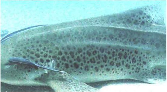 cc10e007-24ae-4580-8a54-80c3a5da1594