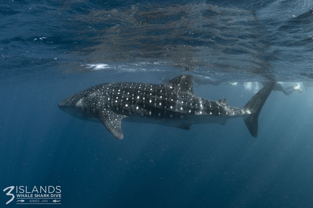 2fd1a807-2a2d-4911-aa66-ac3e27d8f379