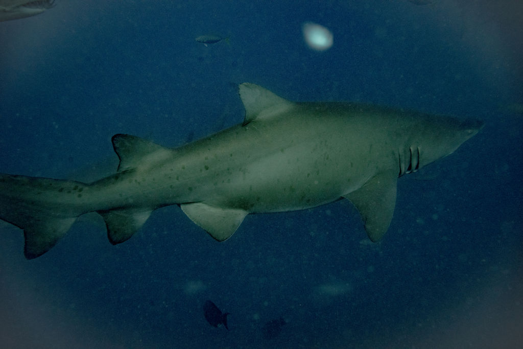 da730efc-1416-4573-b5cf-85b594ef877a