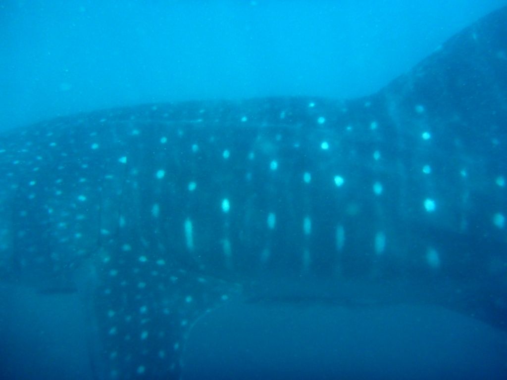 05f1d90f-648c-4955-9c3d-567c536ffb4a