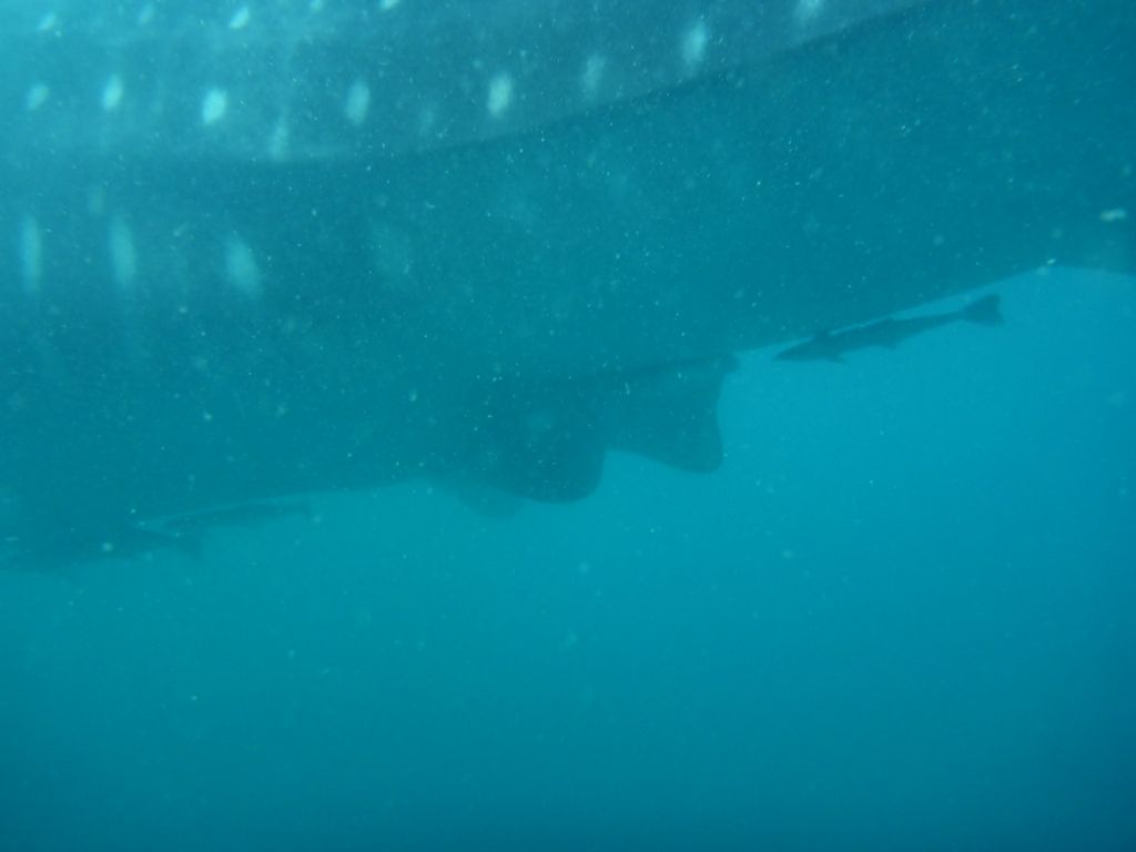 05f1d90f-648c-4955-9c3d-567c536ffb4a