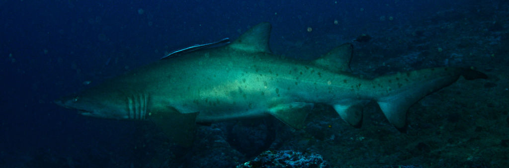 684b7f02-6894-4ed5-be5f-cf25f841aca5