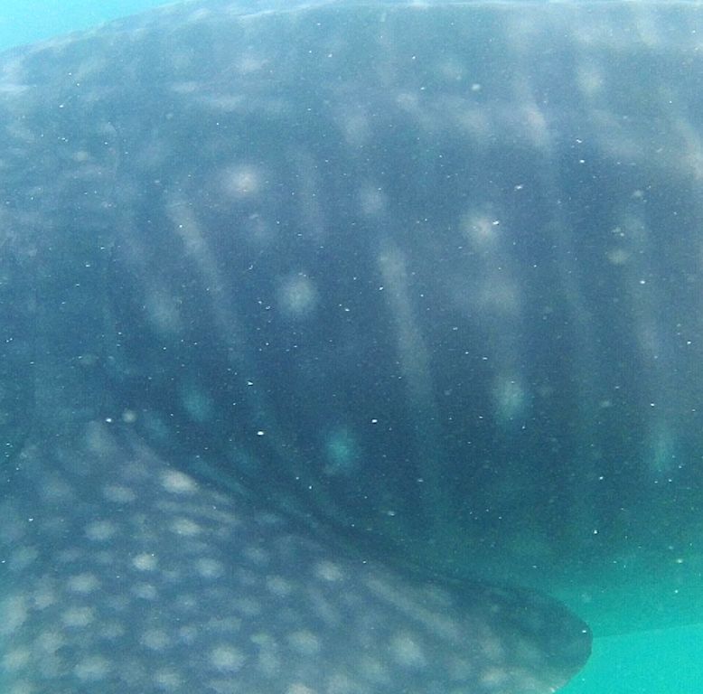 3da54d37-a122-4fcb-bd2c-160fe969b437