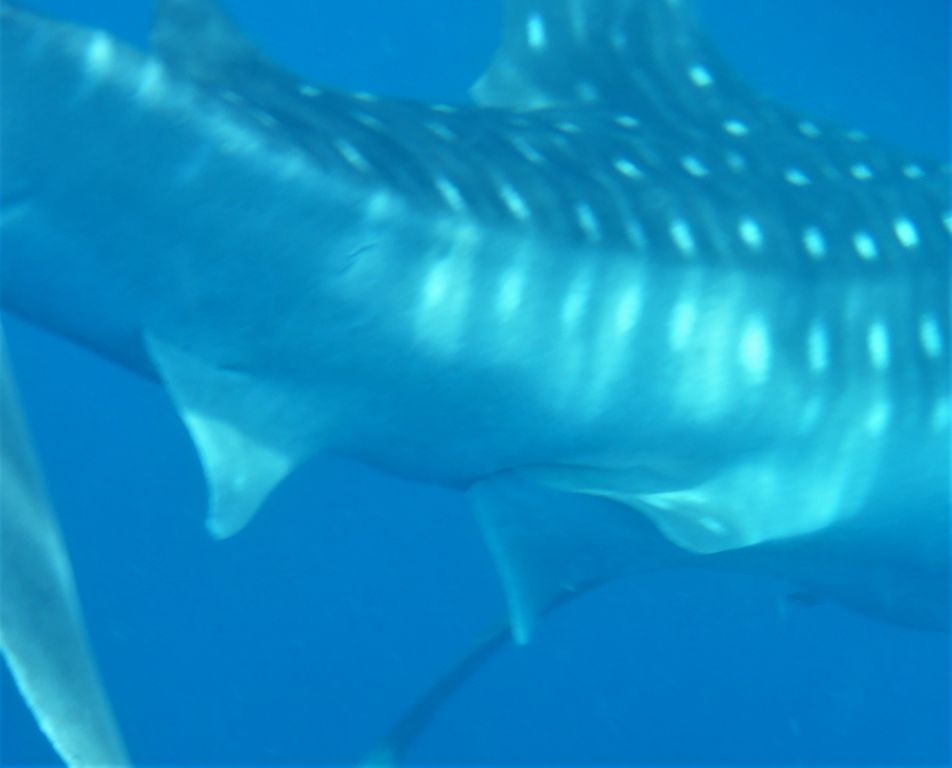 16a22d50-b149-49f6-a4a9-c8d53062ccde