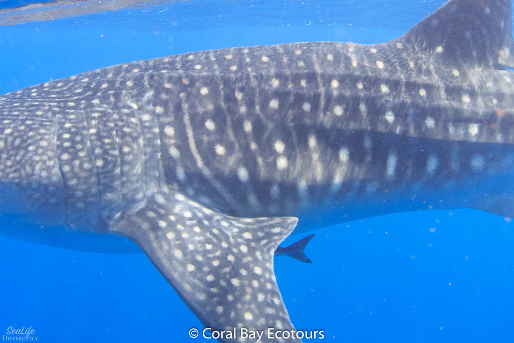 3ee46842-7129-4c2d-b31b-3fe962e2ddf7