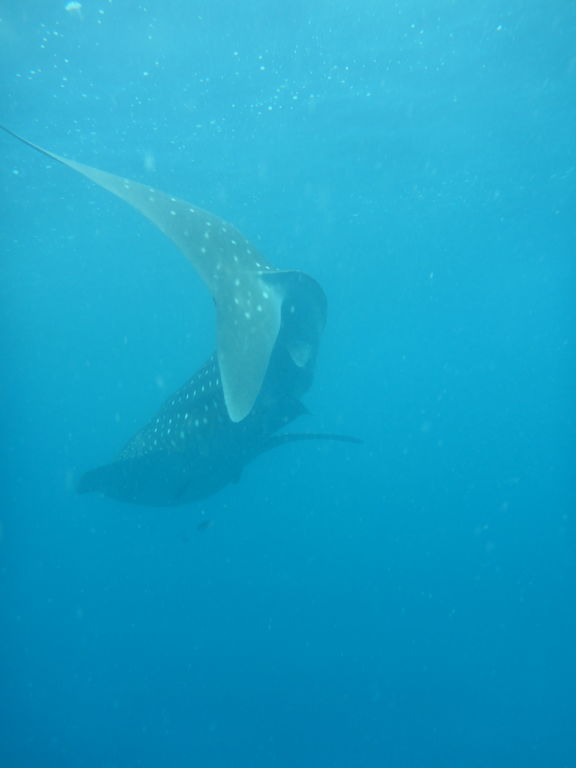 3a9143f9-0a6f-4458-a981-39446166b0a9