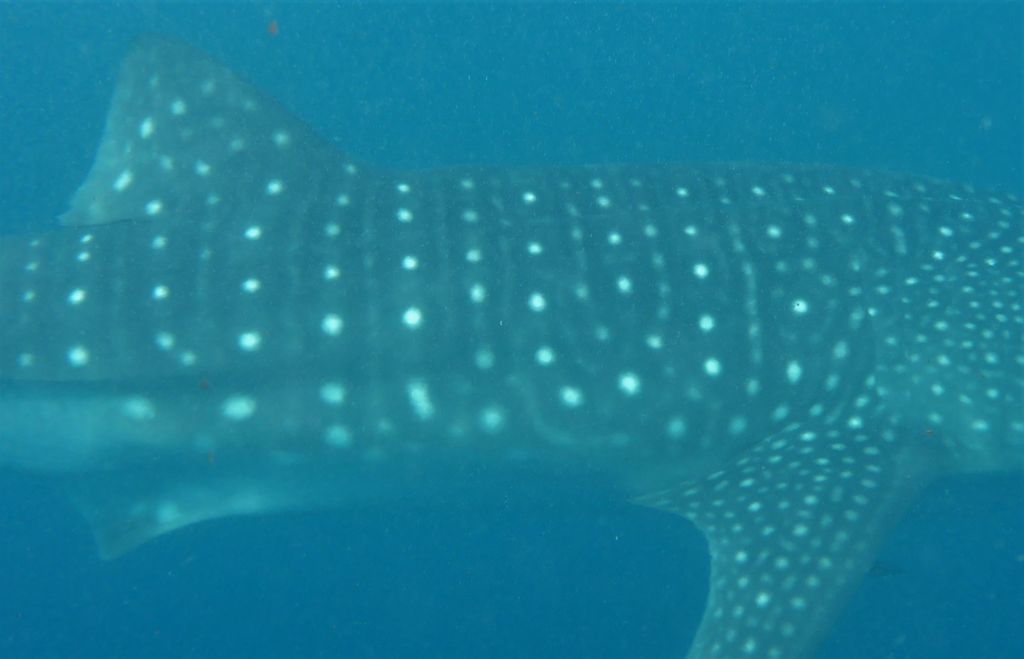 3a9143f9-0a6f-4458-a981-39446166b0a9