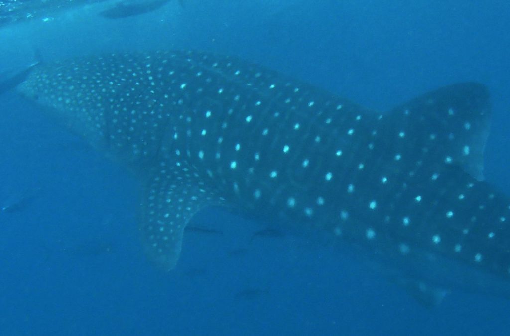 3a9143f9-0a6f-4458-a981-39446166b0a9