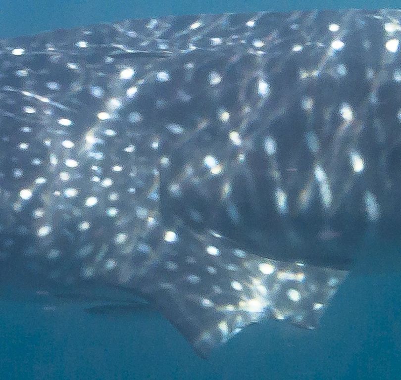 66fb71ef-daff-4415-9223-db6d5c2a844d