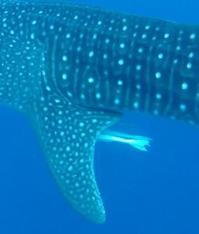 331c52eb-9a00-4fd8-8ca3-5df296fbc487