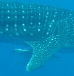 331c52eb-9a00-4fd8-8ca3-5df296fbc487