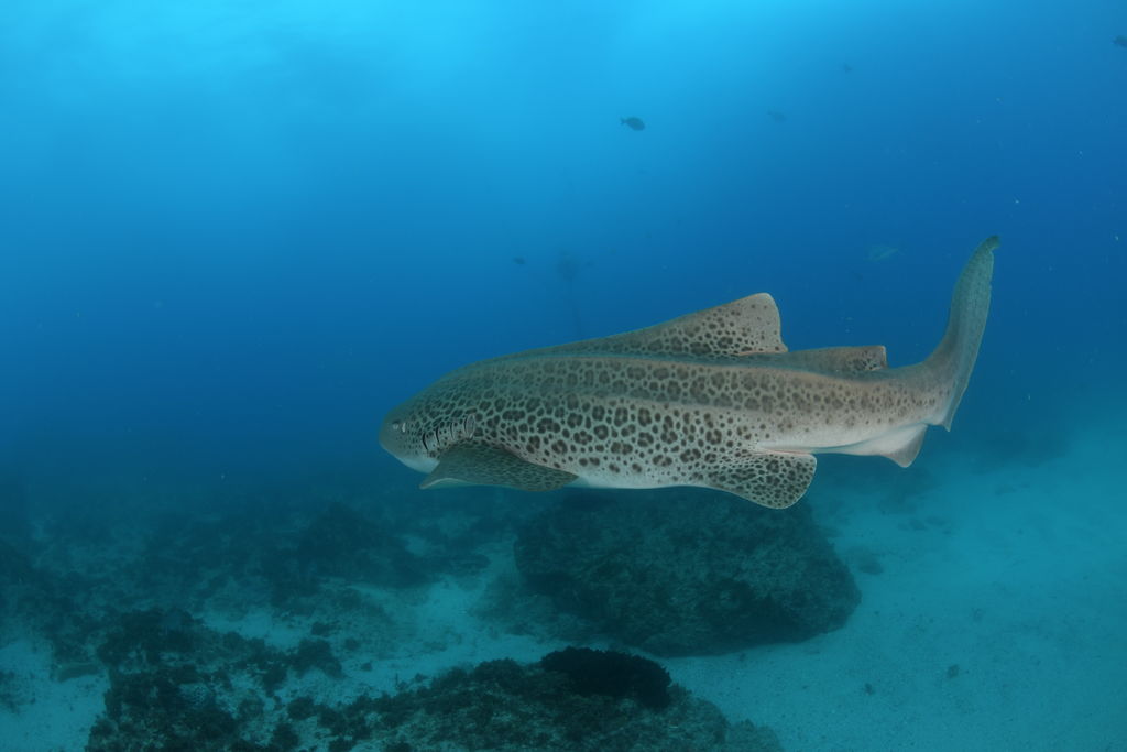 ea0926bf-1a46-426b-9391-f3c09d713f37