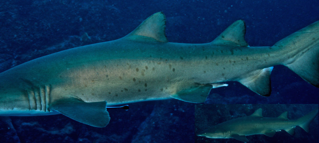 96ec4604-ce13-4f5b-ba0c-16a125fcb905