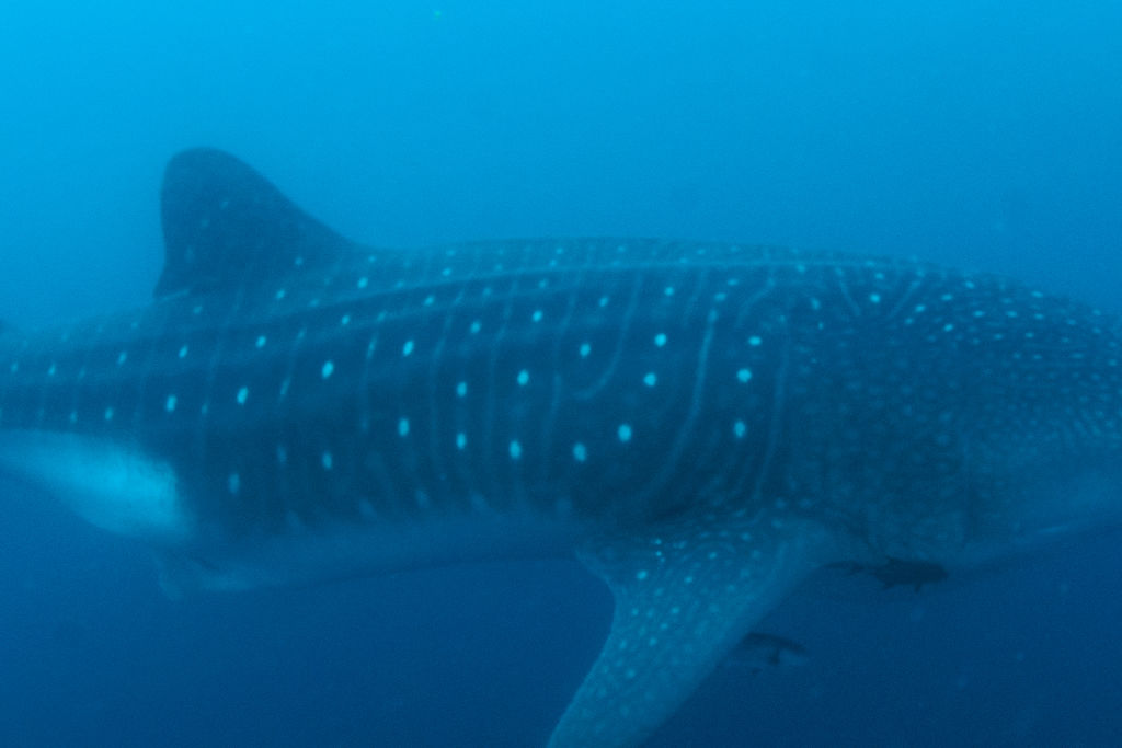 239f7753-fead-4f5d-b29e-697f480516c4