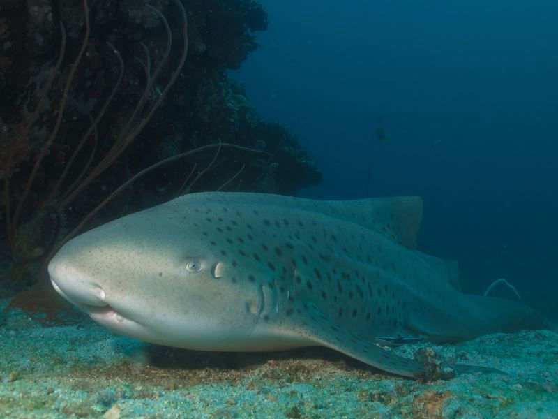 7d33f71c-8a22-453b-b54c-e34a3ad871a1